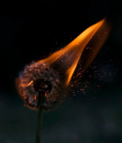 unsplash-image-6mwtDZUOFrw